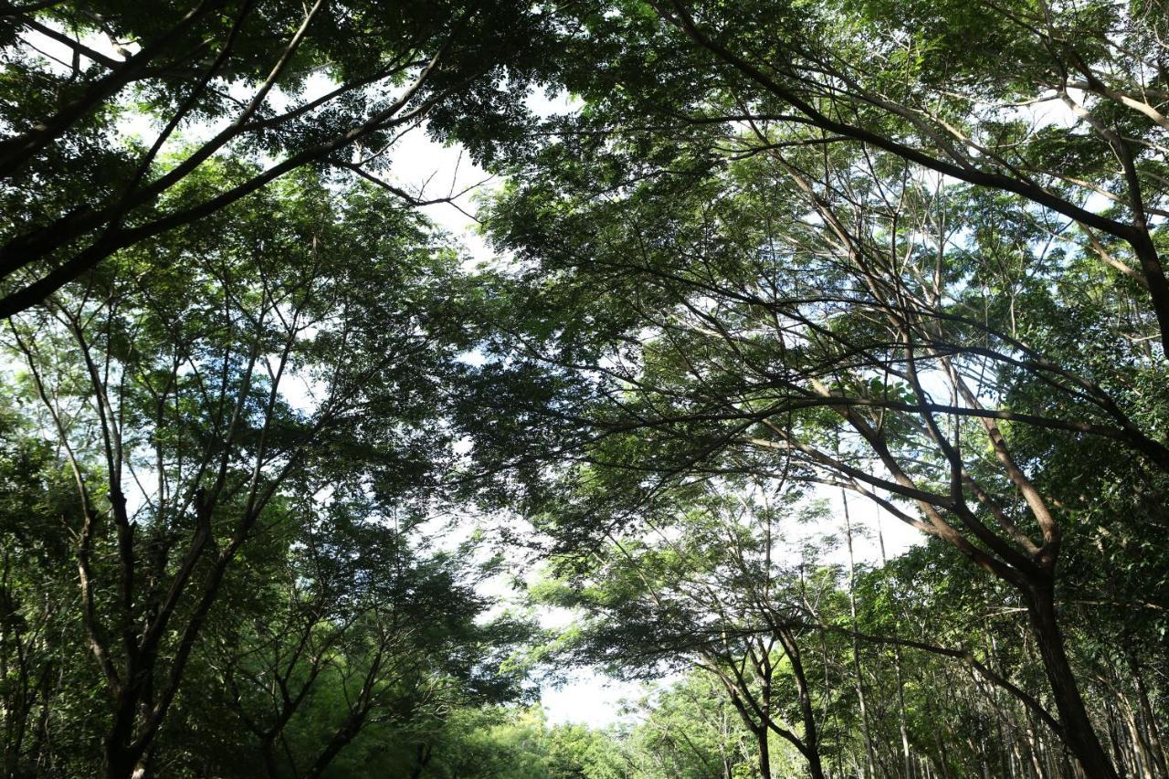 Intercontinental Khao Yai Resort By Ihg Pak Chong Екстериор снимка
